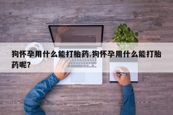 打胎药专卖打胎药专门卖店微信狗怀孕用什么能打胎药.狗怀孕用什么能打胎药呢？