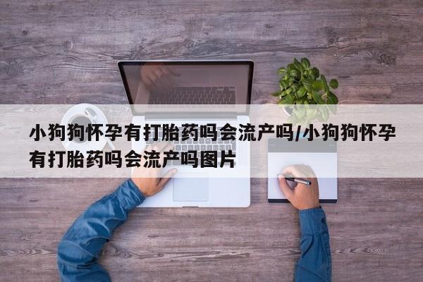 打胎药专卖打胎药专门卖店微信小狗狗怀孕有打胎药吗会流产吗/小狗狗怀孕有打胎药吗会流产吗图片
