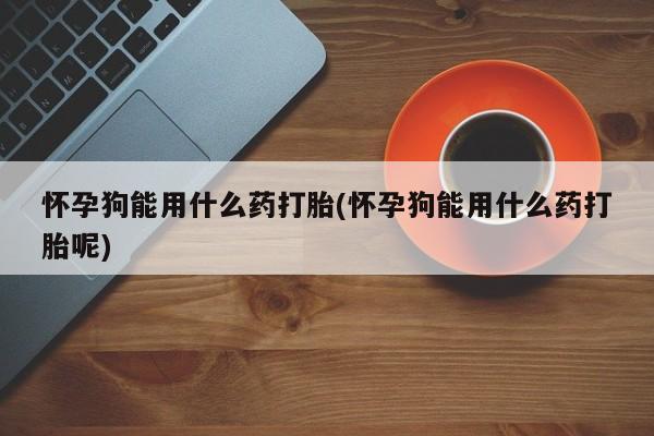 打胎药专卖打胎药专门卖店微信怀孕狗能用什么药打胎(怀孕狗能用什么药打胎呢)