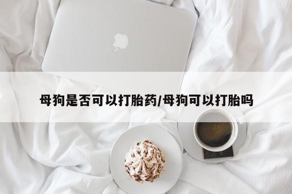 打胎药专卖打胎药专门卖店微信母狗是否可以打胎药/母狗可以打胎吗